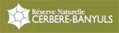 Réserve Naturelle Marine de Cerbère Banyuls /Conseil Départemental des Pyrénées Orientales