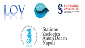 Stazione Zoologica A. Dohrn